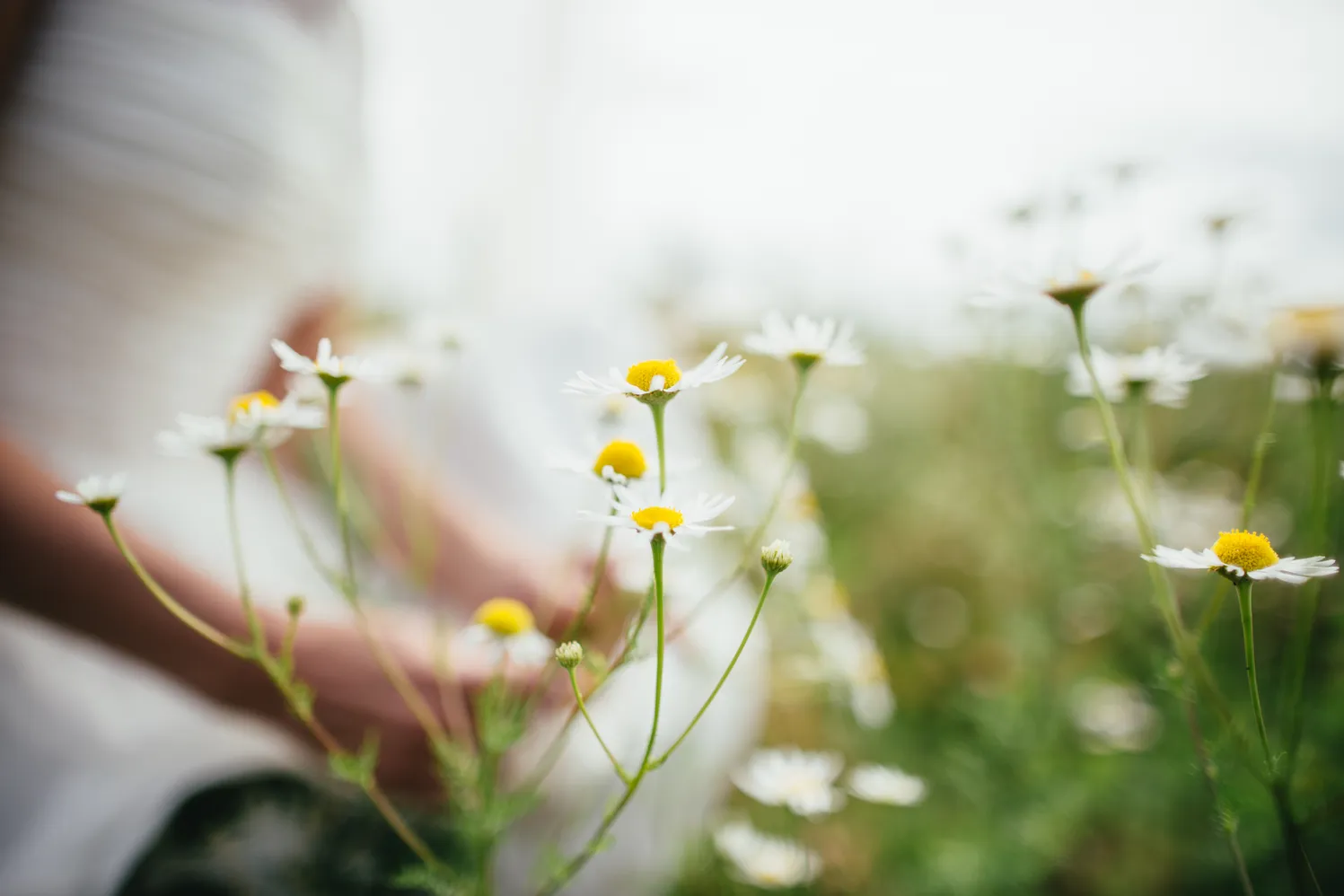 Femme qui médite dans un champs de fleurs pour stimuler son nerf vague